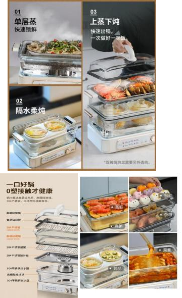 A JS-306D electric steamer